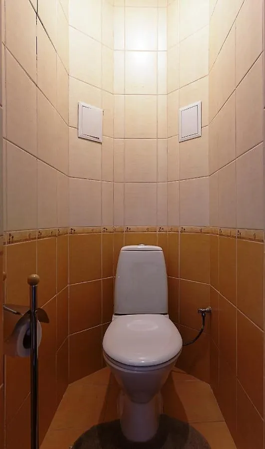 Kyiv High Standard Apartment