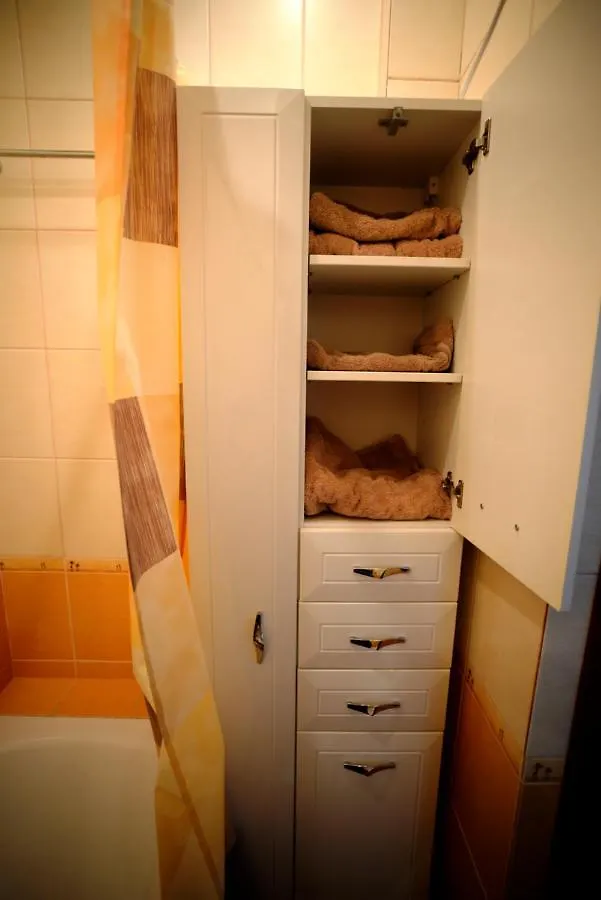 Kyiv High Standard Apartment